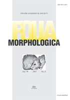 folia_morphologica_medium